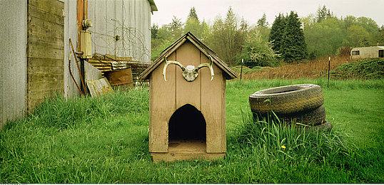 AMD FSR 4由索尼帮助开发 PS6将使用UDNA架构